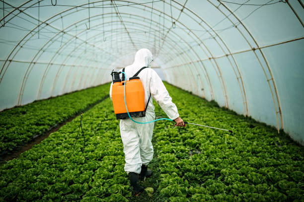 Best Best Pest Control Companies  in Grosse Pointe Park, MI