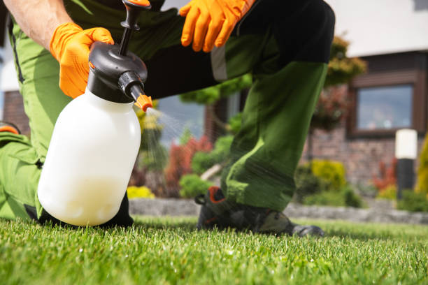 Best Pest Removal Services  in Grosse Pointe Park, MI