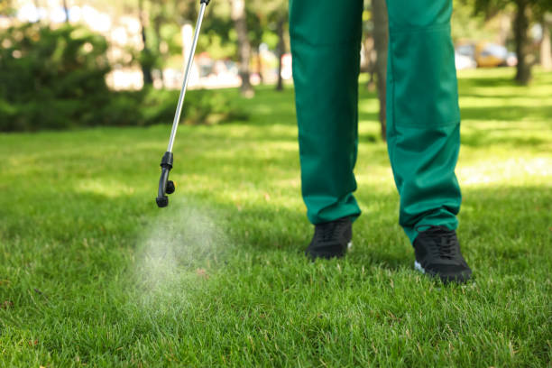 Best Flea Control Services  in Grosse Pointe Park, MI