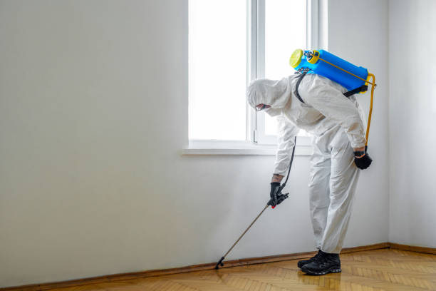 Best Mosquito Control Services  in Grosse Pointe Park, MI