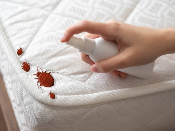 Flea Control Services in Grosse Pointe Park, MI