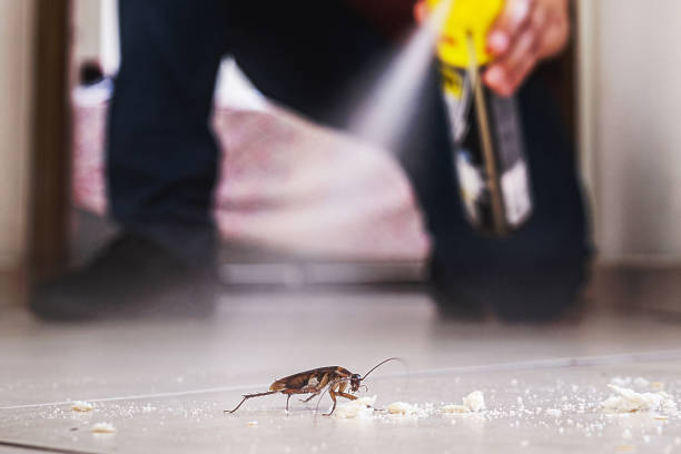 Best Exterminator Services  in Grosse Pointe Park, MI