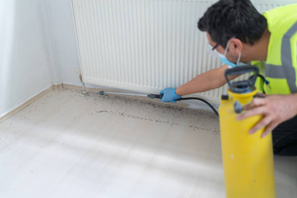 Best Termite Control Services  in Grosse Pointe Park, MI