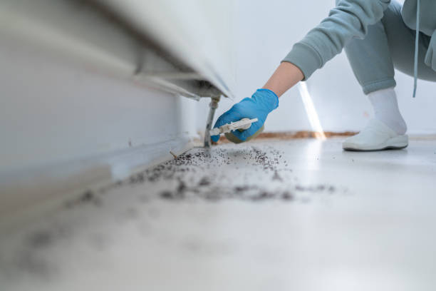 Best Bird Control  in Grosse Pointe Park, MI