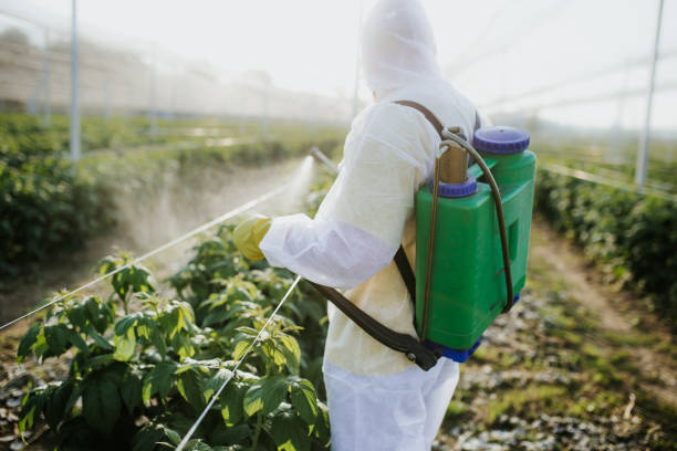 Grosse Pointe Park, MI Pest Control Company